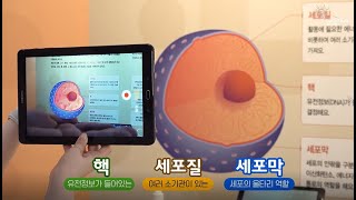 [사이버과학관] 국립광주과학관  '인간의 삶 - Human Life' 공동특별전 전시해설(1)