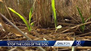 'Stop the loss of the soil': Farmer says cover crops prevented erosion