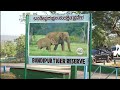 PM's visit to Bandipur & Mudumalai reserves Elephants feeding Wildlife spotting, Safari & more!