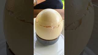 world's biggest egg 😱