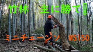 竹林奮闘記　＃４０　放置竹林　竹林再生計画ー１９　竹林　枯竹　枯雑木　間伐　整備