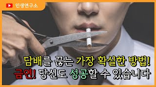 4년째 금연 중🚭 실패를 반복해도 결국 성공한 비결은? (Faet 새해 금연도전)