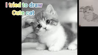 Realistic and cute cat drawing 🥰☺️