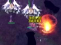 【ro】 r化前 コモド西wizペア メテオストーム ms 狩り動画