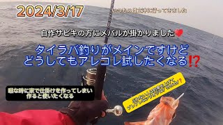 タイラバで鯛釣り❗　なのですが浮気心が溢れ出て、色々やっちゃいます(笑)　自分で作った仕掛けで釣れると嬉しいね🎵