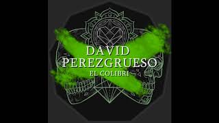 David Perezgrueso - El Mielero Comun (Original Mix)