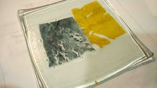 ガラス板に葉っぱ、金銀箔を挟んで電気炉でお皿を！！I made a dish of glass