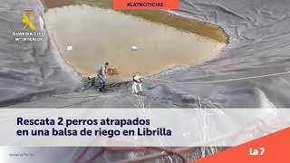 Rescata 2 perros atrapados en una balsa de riego en Librilla | La 7