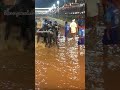 puttur koti chennaya kambala.. kambala puttur kambala_fan tulunadu travelvlog passion trend