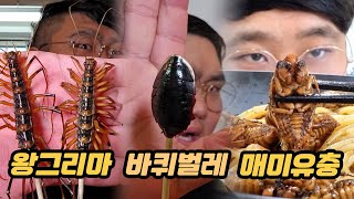 바퀴벌레 부터 왕그리마, 매미유충 까지 요리해서 입에넣고 삼키기 풀버전 1탄!!