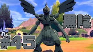 【役割論理】ポケモン剣盾で役割論理ですぞpart45 両刀型黒龍編【やろびのうた】