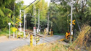 JR 身延線【№116】湯ノ沢踏切・通過・走行映像（沼久保駅⇔芝川駅）静岡県富士宮羽鮒