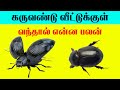 கருவண்டு வீட்டுக்குள் வந்தால் என்ன பலன்| Indian Astrology predictions| karuvandu |T Tamil Technology