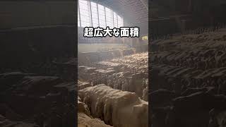 【中国】キングダムの世界！西安の兵馬俑/世界遺産/Terracotta Army /China World Heritage