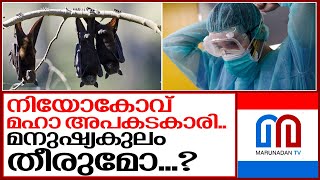 നിയോകോവ് വന്‍ അപകടകാരി തന്നെ.. I Who about Neocov virus