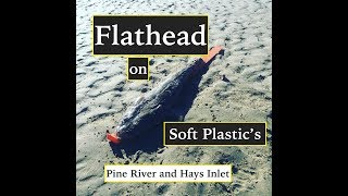 Flathead Fishing, Soft Plastics, Hays Inlet and Pine River