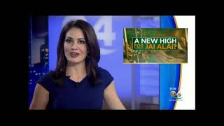 CBS4 News feature  High times for Jai Alai
