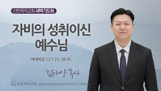 [선한목자교회] 새벽기도회 2024년 12월 11일 | 자비의 성취이신 예수님 - 김태양 목사 [마태복음 12:1-21, 38-45]