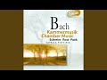 Lute Partita in C Minor, BWV 997 (arr. T. Hoppstock for guitar) : III. Sarabande