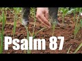 Psalm 87 - Zion, Mutter aller Völker