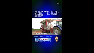 ジャガイモ収穫機械にひかれ77歳女性が死亡　トラクターにけん引され畑を移動中にステップから転落　北海道豊頃町 #Shorts