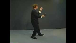 Yang Style Tai Chi Long Form Master Course - Lesson 28