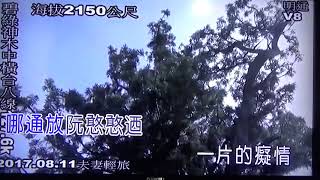 MAH01681伴唱 情路滑洌冽 背景台8線碧綠神木