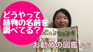 どうやって植物の名前を調べてる？お勧めの図鑑