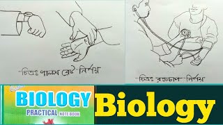 SSC Biology Practical Drawing Class 10 | Ssc 2022 | চিত্রঃ পালস রেট নির্ণয় ও চিত্রঃ রক্তচাপ নির্ণয়