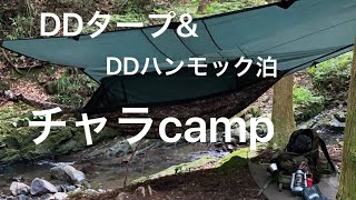 【ソロキャンプ】DDタープ\u0026ハンモック泊