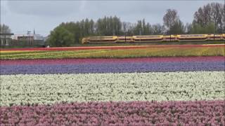 VIRM 9405 en ervoor een gewone. Loosterweg Zuid Pasen 2017