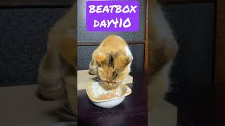 ビートに音がつられる2年目の #ビートボックス #Beatbox DAY410