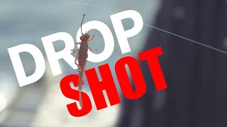 Ešerių spiningavimo pamokos su Andriumi Urbonu: drop shot