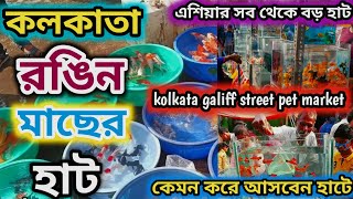 সব থেকে পুরনো পশু পাখির হাট kolkata galiff street kolkata galiff street aquarium fish market