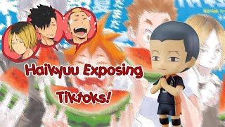 EXPOSING TIKTOKS?! | haikyuu texts | (LATE) Birthday Special