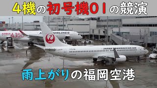 4機の初号機01の競演 JAL, JTA, JAC, AMX, 雨上がりの福岡空港, 2021/7/9