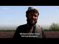 afghan farmers supply opium trade as money dries up