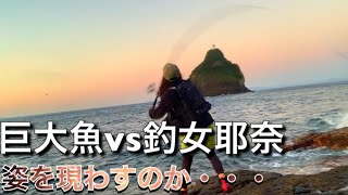 九州の巨大魚を求めて...