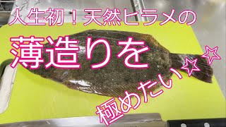 【天然ヒラメ】のさばき方→薄造りになるまで！！