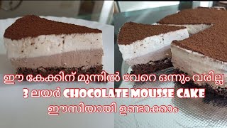 ഈ കേക്കിന്റെ മുന്നിൽ വേറെ ഒന്നും വരില്ല | CHOCOLATE MOUSSE CAKE | ഒരു വെറൈറ്റി കേക്ക് |കേക്ക് recipe