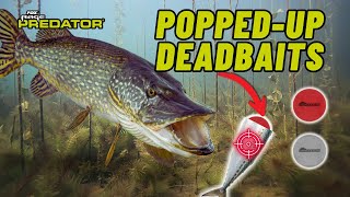 Gain a HUGE EDGE with this technique | How to catch pike with popped up deadbaits | Pike Tutorial