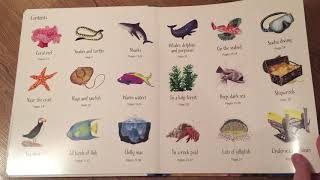 Usborne 1000 Things Under The Sea