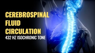 Cerebrospinal Fluid Circulation | Cleanse Brain and Spinal Cord from Injury | 432 Hz Isochronic Tone