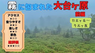 【大台ヶ原（夏）】標高1600mでも手軽にハイキングできる山【ソロ登山】Part.1