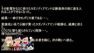 京都新聞杯 回顧