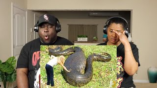 10 Humans Found Inside Animals | Kidd and Cee Reacts