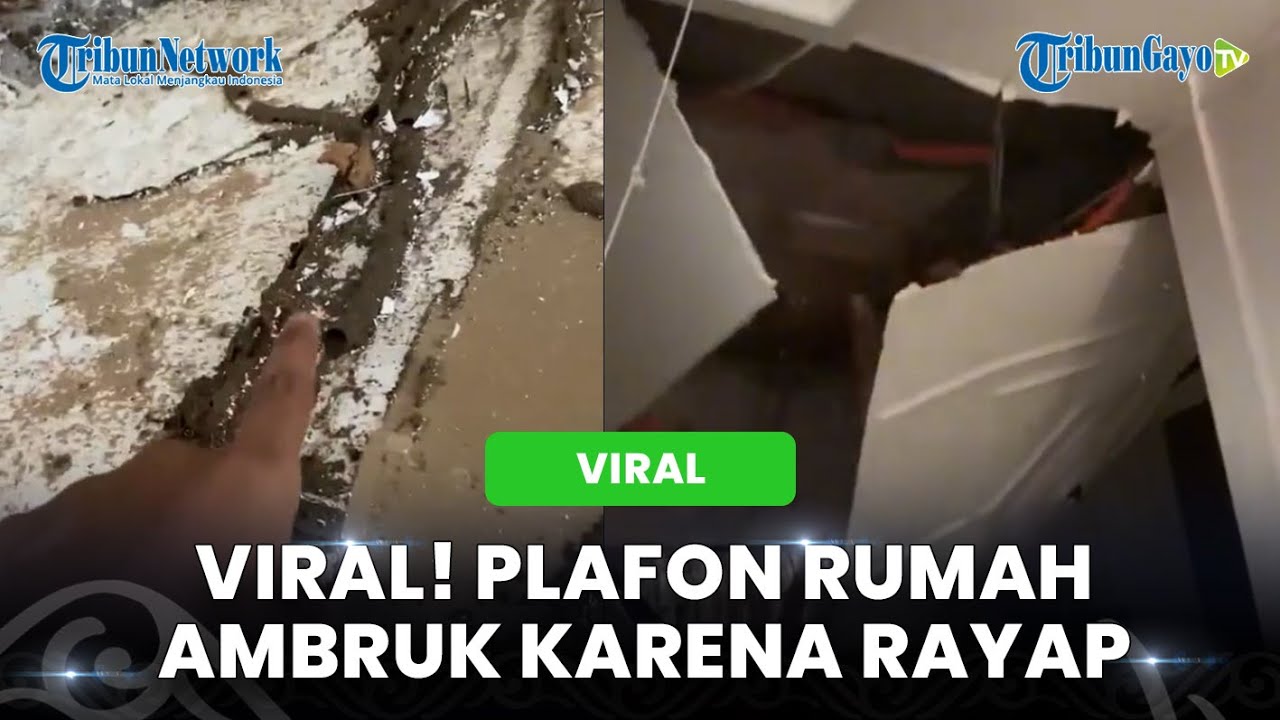 Viral Detik-detik Plafon Rumah Ambruk Karena Rayap - YouTube