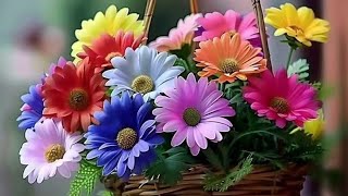 Simple Good Morning Wishes| Good Morning Flowers Images 🌼🌺 Whatsapp Status 🥀#bestwishes1 #youtube