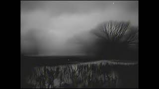 vshe - Withered (reimagined) [visualizer]