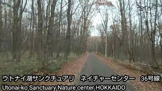 北海道ウトナイ湖サンクチュアリ　　ネイチャーセンター　Lake Utonai Sanctuary Nature center HOKKAIDO